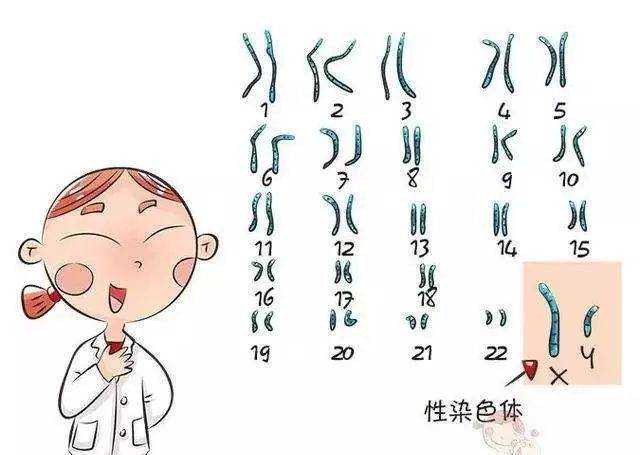解析：55岁广州高龄女子做试管婴儿的成功率