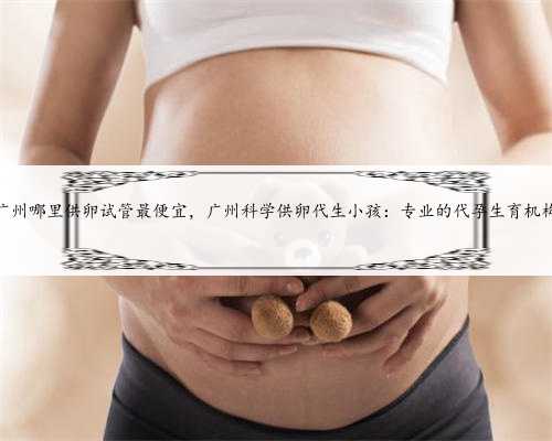 广州哪里供卵试管最便宜，广州科学供卵代生小孩：专业的代孕生育机构