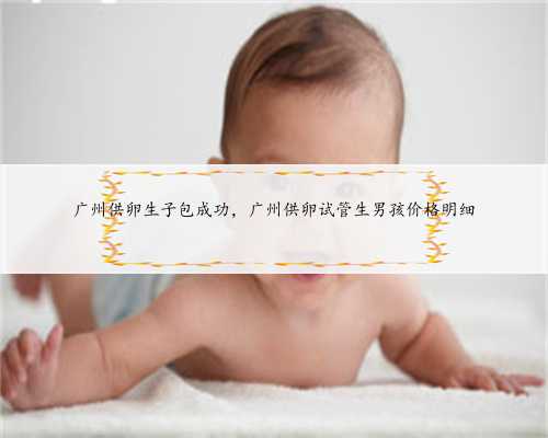 广州供卵生子包成功，广州供卵试管生男孩价格明细