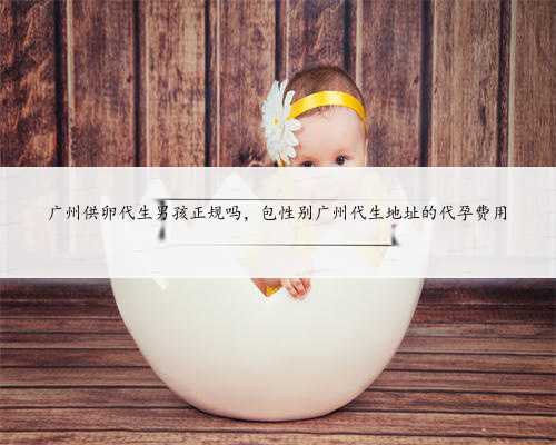 广州供卵代生男孩正规吗，包性别广州代生地址的代孕费用